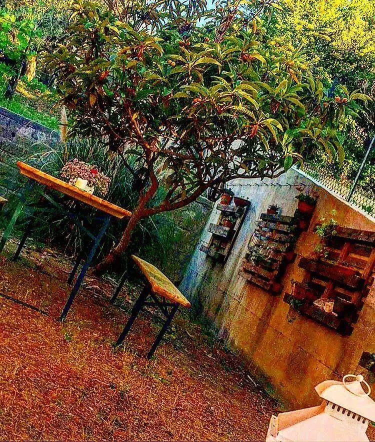 Affittacamere Casa Mac & Rose San Quirico dʼOrcia Oda ve Kahvaltı
